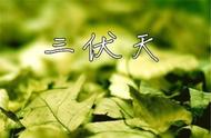 夏季菊花怎么保存（菊花的正确保存方法）