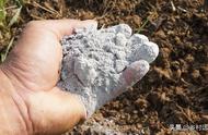 草木灰直接撒在根上还是埋进土里（草木灰的正确使用方法）