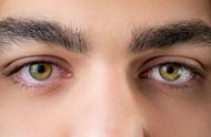 眼睑和眼皮有什么区别（眼睑和眼皮怎么区分）