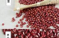 红豆薏米快速减肥法多久才见效（红豆薏米减肥最快的方法）