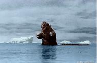 1958年南极诡异事件（南极未解之谜奇闻异象）
