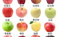 苹果的种类名称及图片（南方水果图片大全大图）