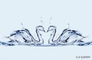 一滴水可以活多久内容概括100字（滴水成冰的原理是什么一百字）