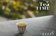 陈皮泡什么茶最佳（陈皮适合跟什么茶一起泡）