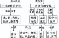 氨基酸序列不变的两个原因（一个氨基酸为什么有三个密码子）