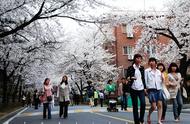 韩国首尔大学留学含金量（韩国首尔大学研究生留学条件及费用）