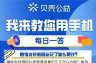 微信忘了支付密码怎么办（微信忘了支付密码怎么办没绑定银行卡）