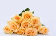 男人送黄玫瑰代表什么（男人送黄玫瑰和红玫瑰代表什么）