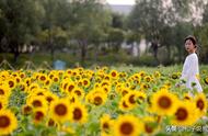 临沂大学真实评价（临沂大学如何）