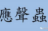 随声附和的人以虫喻人（随声附和只是成年人的礼貌）