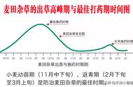 人工拔草的禁忌（人工拔草的注意事项）