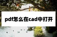 cad导入pdf无法打开（cad打开pdf文件但编辑不了）