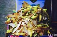 香蕉做肥料发酵多久种菜（香蕉可以发酵做肥料吗）