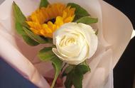 白玫瑰和向日葵一起代表什么意思（一朵向日葵和一朵白玫瑰代表什么）