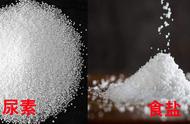 农业做复合肥料的盐（农业上可用来做复合肥的盐是什么）
