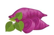 怎样吃紫薯才可以减肥