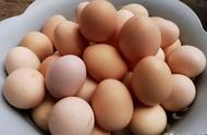 鸡蛋保鲜有妙招教你5个实用的方法（超市蔬菜9种保鲜方法）