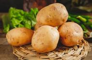 土豆的功效与营养（土豆的好处和营养价值）