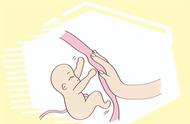 胚胎发育大致过程是怎样的（胚胎发育的基本原理与步骤）