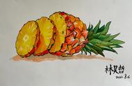 创意美术菠萝设计意图（漂亮的菠萝美术教案）