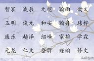 男孩杨字后面起什么字好（带杨字男孩名字有哪些）