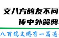 鸽子一年四季都下蛋吗（鸽子是一年四季都下蛋的吗）