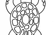 乌龟壳简笔画（乌龟壳绘画图片）