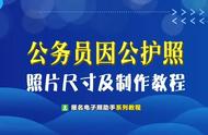 因公护照和个人护照（因公出国的护照是普通护照吗）