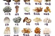 菌类食物图片大全（菌类食物排名一览表）