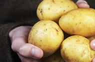 土豆好处和营养价值（土豆营养价值和副作用）