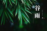 南方谷雨适合吃什么（谷雨时节适合吃什么）