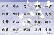 起女孩名婧字搭什么字好（和婧字最搭的女孩名字）