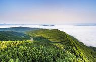 蜀南竹海风景好吗（蜀南竹海风景区怎么样）