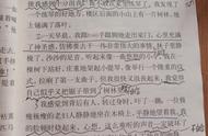 唯一的听众主要内容10字（唯一的听众全文阅读答案）