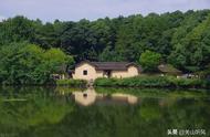 风水学家里养鹅好不好（家里养鹅风水）