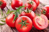 番茄跟西红柿是一种东西吗（番茄与西红柿明明有区别）