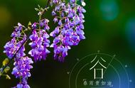 4月19日是春天还是冬天（4月19日属于什么季节）