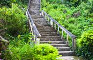 江门景点一日游自驾游（江门一日游必去的地方）