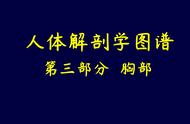 胸腔骨头结构图解（胸腔骨骼体表标志解剖图）