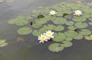 东风雨1集至40集（东风雨电视剧全集剧情）