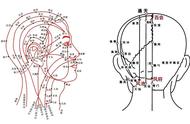 梳头穴位图解（神奇梳头疗法穴位介绍图片）