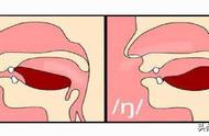 普通话有几个鼻尾音韵母（普通话中的后鼻韵母有几个）