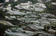 昆明元阳梯田最佳旅游季节（云南元阳梯田旅游攻略自由行）